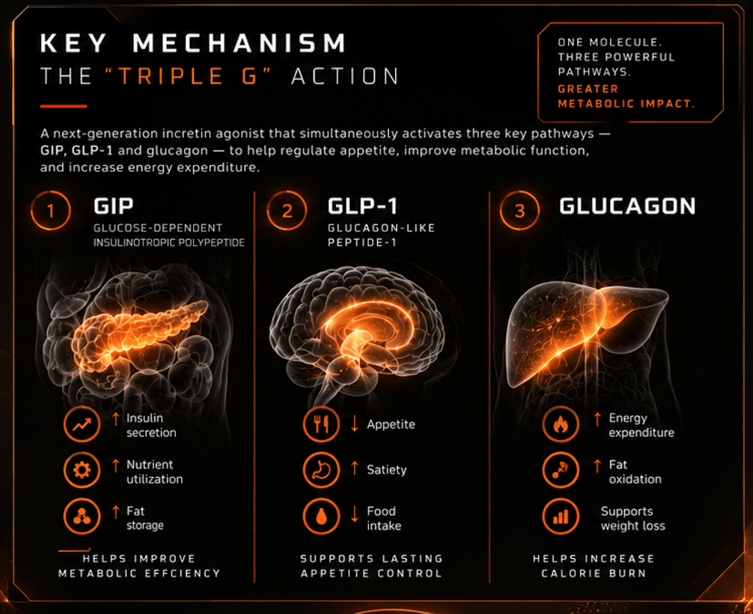 Retatrutide Triple G Mechanism Overview